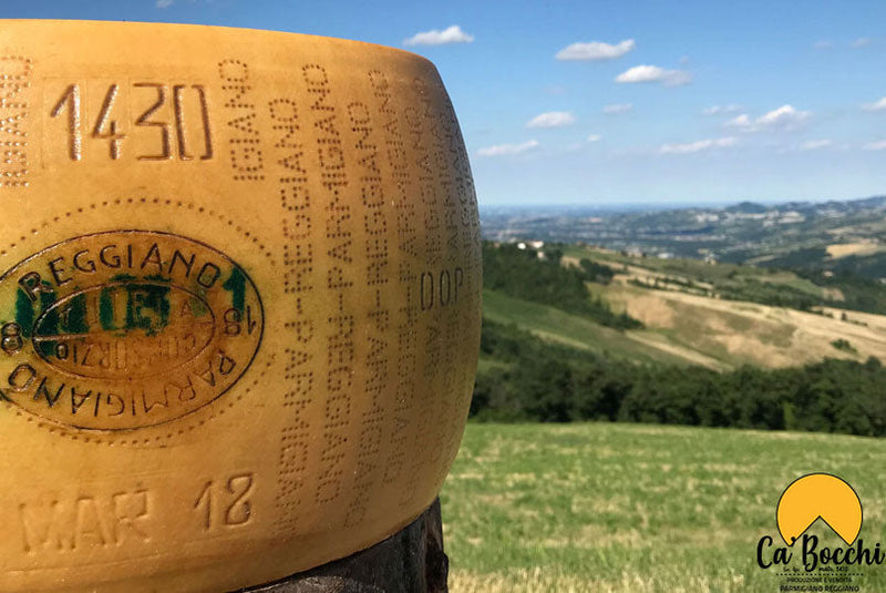 Società Agricola Cà Bocchi